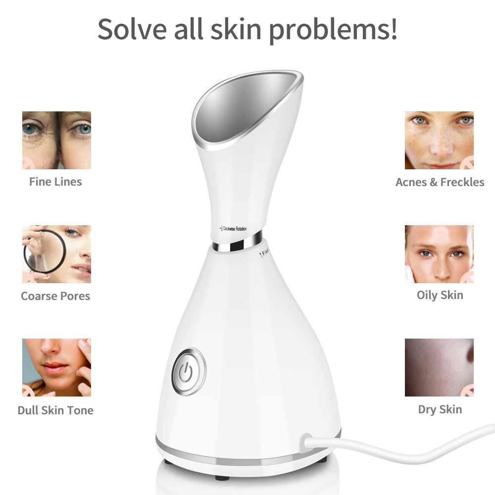 Face Beauty Steamer Device
