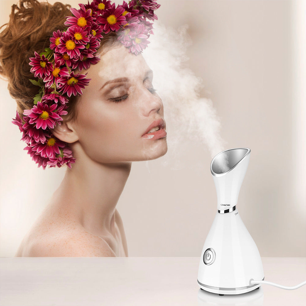Face Beauty Steamer Device